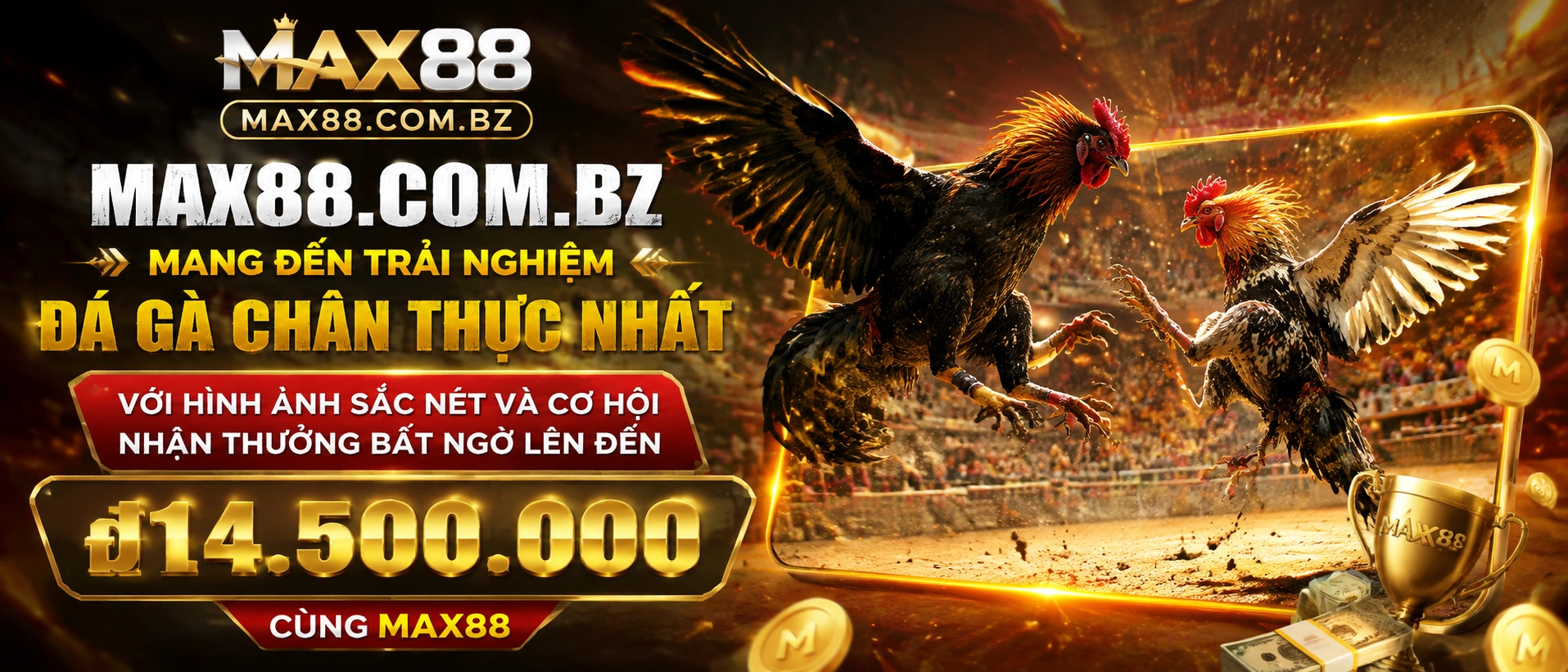 Đá Gà Trực Tiếp - trải nghiệm xem live